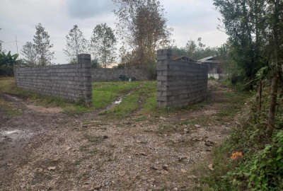 فروش زمین مسکونی گیلان ۳۲۰ متر لاهیجان روستای سرشکه