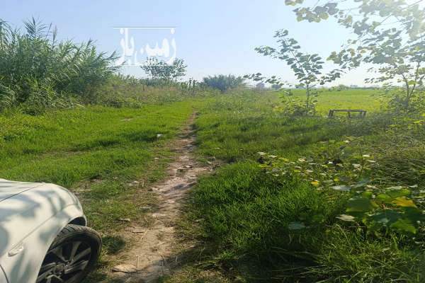 فروش زمین کشاورزی شمال ۱۴۵۳ متر سرخرود روستای ابوالحسن اباد-2