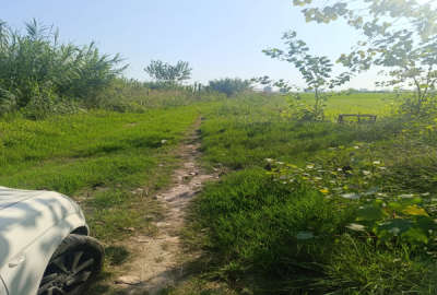 فروش زمین کشاورزی شمال ۱۴۵۳ متر سرخرود روستای ابوالحسن اباد