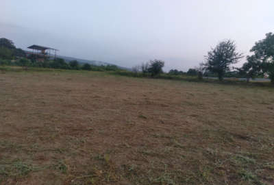 فروش زمین باغ شمال ۷۰۰ متر ساری روستای پهنه کلابن پوسک
