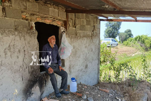 فروش زمین کشاورزی شمال ۸۰۰۰ متر نکا جاده دریا-2