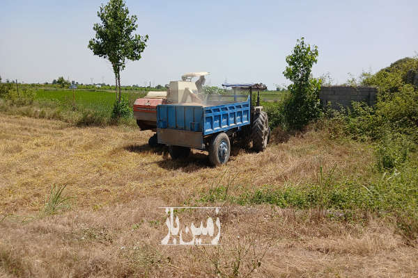 فروش زمین کشاورزی شمال ۸۰۰۰ متر نکا جاده دریا-3