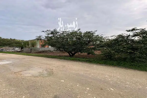 فروش زمین مسکونی شمال ۳۰۰ متر ساری روستای رنگدشت - تصویر 2