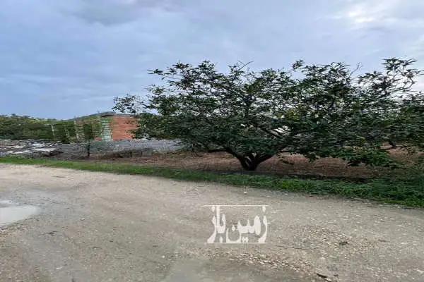 فروش زمین مسکونی شمال ۳۰۰ متر ساری روستای رنگدشت - تصویر 3