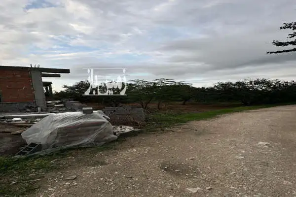 فروش زمین مسکونی شمال ۳۰۰ متر ساری روستای رنگدشت - تصویر 4