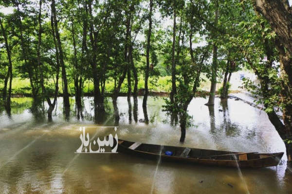 فروش زمین مسکونی گیلان ۱۵۰۰۰ متر چاف و چمخاله-4