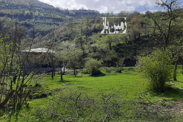 فروش زمین مسکونی شمال ۳۷۱ متر رامسر ارتفاعات جنت رودبار-1
