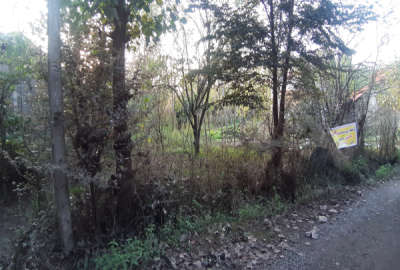 فروش زمین مسکونی گیلان ۳۲۸ متر رودبنه روستای امامده