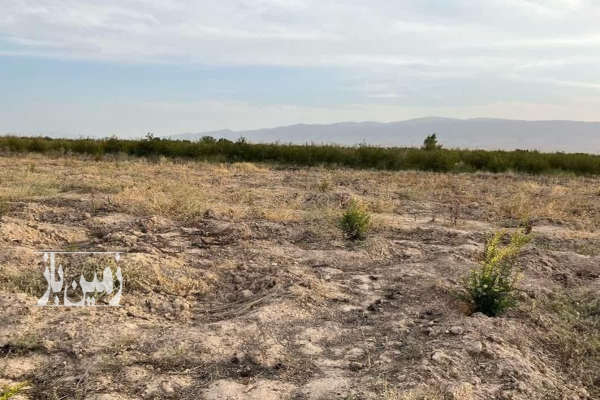 فروش زمین کشاورزی مرکزی ۵۰۰۰ متر ساوه روستای قردین-3