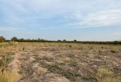 فروش زمین کشاورزی مرکزی ۵۰۰۰ متر ساوه روستای قردین