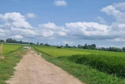 فروش زمین باغ کشاورزی شمال ۲۲۵۰ متر آمل روستای طوله کلا