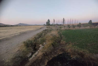 فروش زمین کشاورزی کردستان ۱۰۰۰ متر قروه روستای ویهج