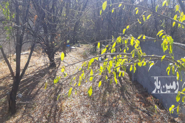 فروش زمین آذربایجان شرقی ۳۷۸ متر مراغه روستای نوا-3