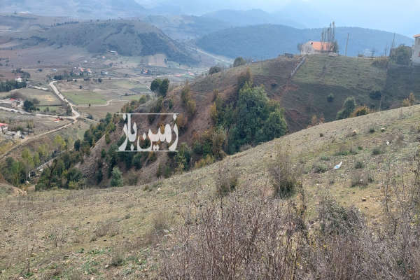 فروش زمین مسکونی باغ شمال ۸۰۰۰ متر کیاسر روستای کنیم-1