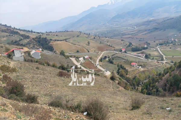 فروش زمین مسکونی باغ شمال ۸۰۰۰ متر کیاسر روستای کنیم-2