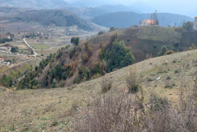 فروش زمین مسکونی باغ شمال ۸۰۰۰ متر کیاسر روستای کنیم