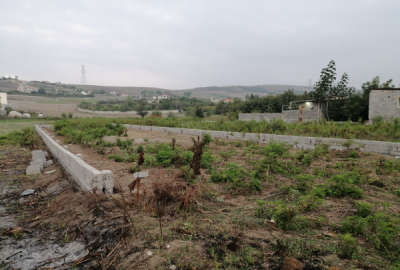 فروش زمین جنگلی جلگه ای شمال ۲۰۰ متر ساری