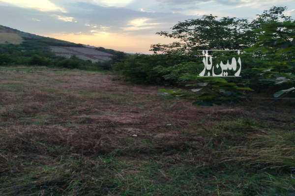 فروش زمین باغ شمال ۱۰۰۰ متر رستمکلا-4