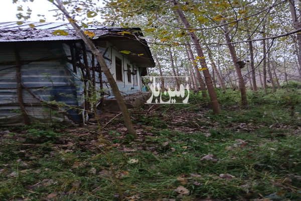فروش زمین مسکونی باغ کلنگی گیلان ۶۰۰۰ متر صومعه‌ سرا روستای اباتر-3