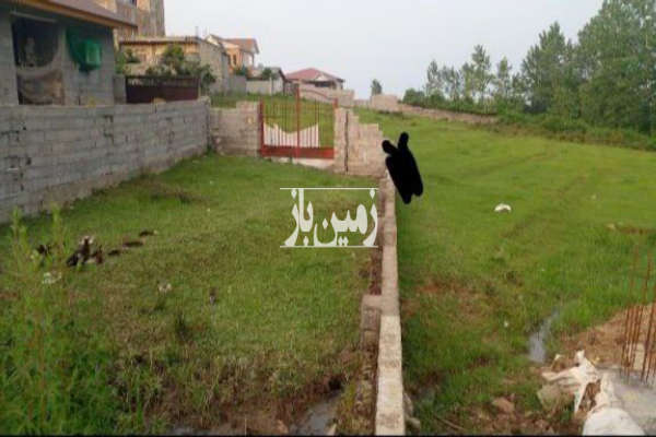 فروش زمین باغ گیلان ۱۵۳ متر هشتپر-2