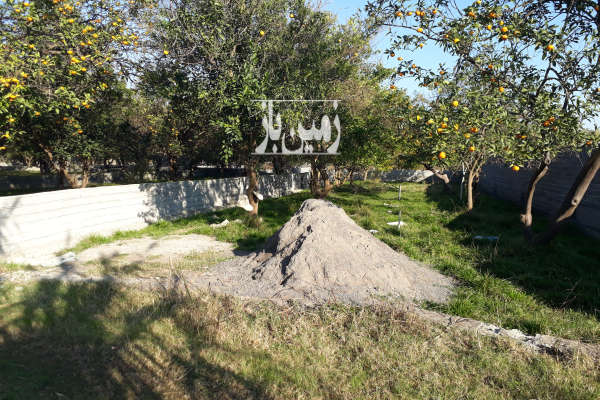 فروش زمین باغ شمال ۲۸۲ متر بابل روستای نقیب کلا-1