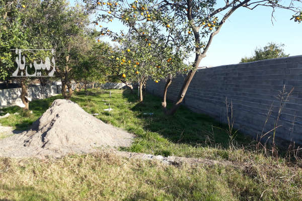فروش زمین باغ شمال ۲۸۲ متر بابل روستای نقیب کلا-2