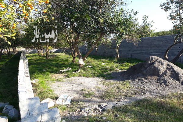 فروش زمین باغ شمال ۲۸۲ متر بابل روستای نقیب کلا-3