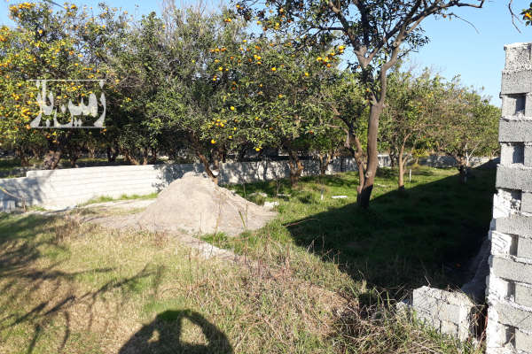 فروش زمین باغ شمال ۲۸۲ متر بابل روستای نقیب کلا-4