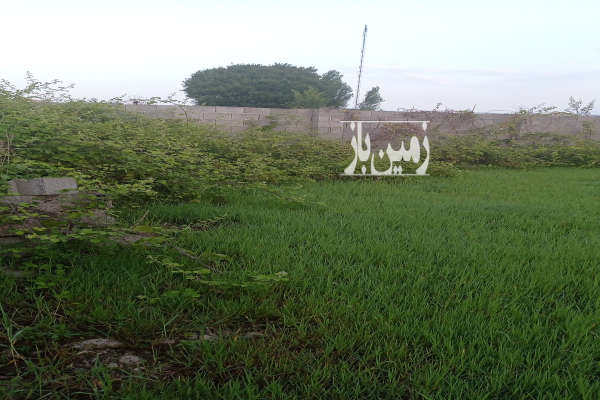 فروش زمین مسکونی گیلان ۳۰۳ متر رشت زیباکنار خشک اسطلخ-4