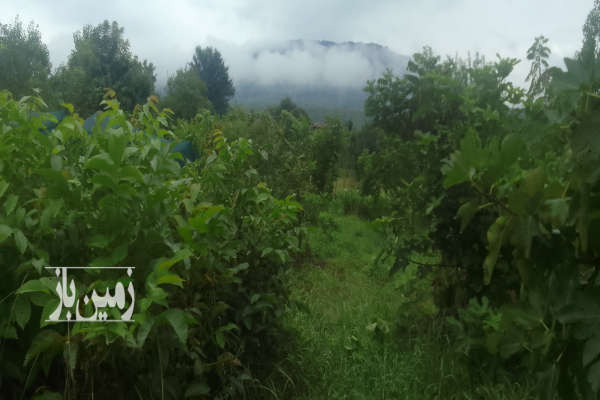 فروش زمین مسکونی گیلان ۴۲۰ متر سنگر-1