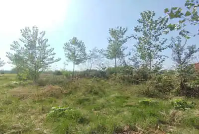فروش زمین ۱۰۰۰ متر تالش روستای کوهکری ناوان