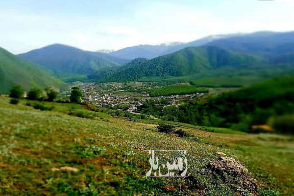 فروش زمین باغ شمال ۳۰۰۰ متر چمستان روستای لاویج-4