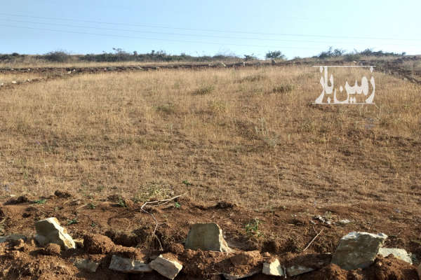 فروش زمین کشاورزی شمال ۳۱۰ متر مرزن‌ آباد روستای سنار-1