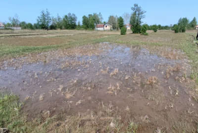 فروش زمین کشاورزی گیلان ۸۲۰ متر سیاهکل روستای شیوا