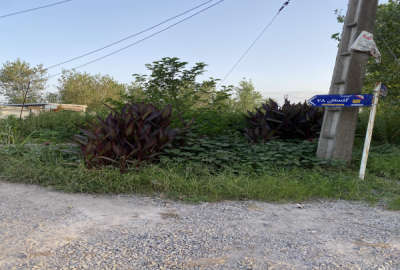 فروش زمین مسکونی گیلان ۹۵۰ متر رشت گلسار روستای طش