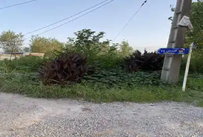 فروش زمین مسکونی گیلان ۹۵۰ متر رشت گلسار روستای طش