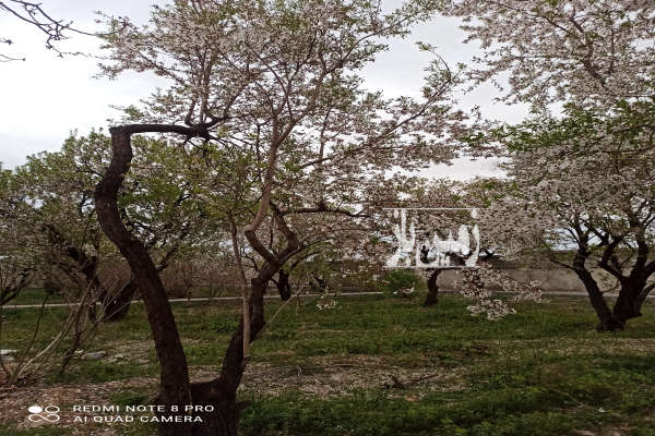 فروش زمین باغ اصفهان ۲۰۰۰ متر چرمهین-2