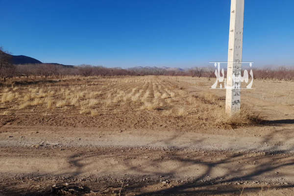 فروش زمین کشاورزی اصفهان ۵۰۰۰ متر عسگران روستای چشمه احمدرضا-2