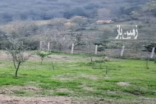 فروش زمین باغ گیلان ۱۸۰۰ متر سیاهکل روستای نارنج لنگه-1