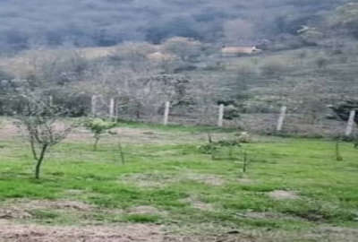 فروش زمین باغ گیلان ۱۸۰۰ متر سیاهکل روستای نارنج لنگه