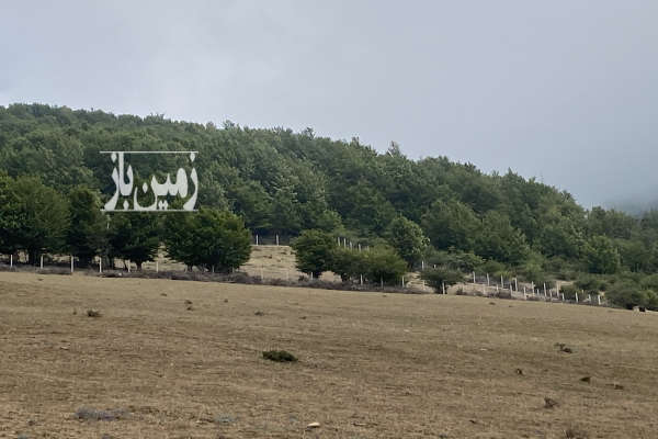 فروش زمین کشاورزی شمال ۸۵۰۰ متر کیاسر جاده روستای لنگر-1