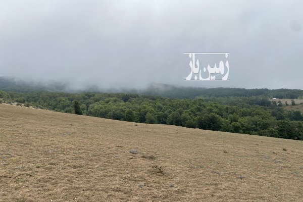 فروش زمین کشاورزی شمال ۸۵۰۰ متر کیاسر جاده روستای لنگر-2