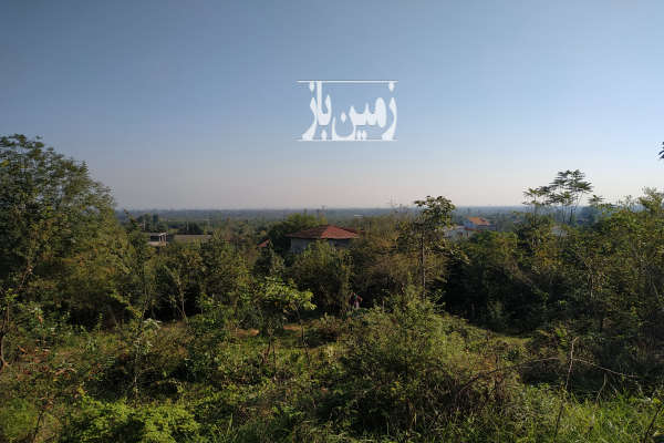 فروش زمین مسکونی باغ شمال ۷۰۰ متر تنکابن صالح اباد-3