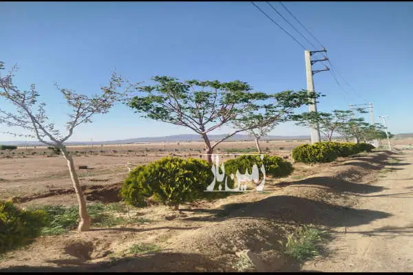 باغچه ۲۴۰۰ متری در صفادشت محمود آباد - تصویر 1