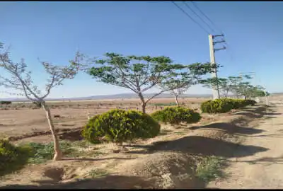 باغچه ۲۴۰۰ متری در صفادشت محمود آباد