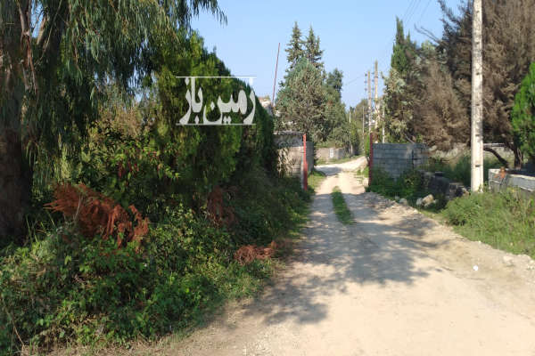 فروش زمین مسکونی شمال ۲۰۰ متر نوشهر روستای کردیکلا-4