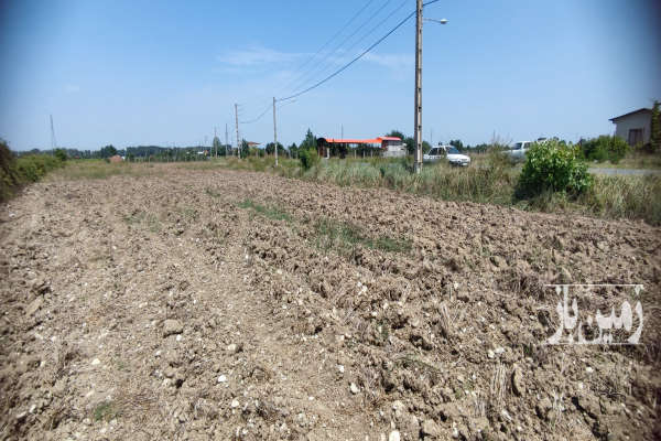 فروش زمین باغ گلستان ۳۷۵ متر گرگان ورودی روستای سدن-3