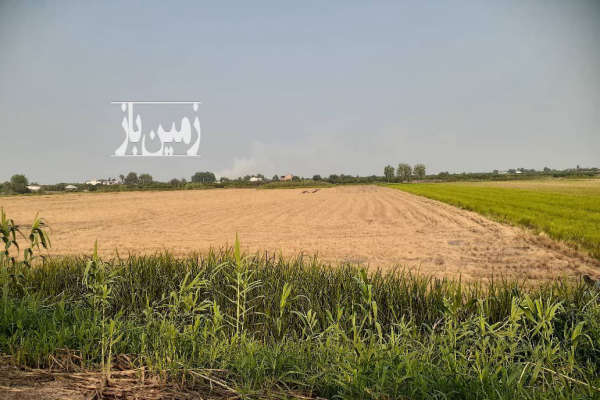 فروش زمین کشاورزی شمال ۷۰۰۰ متر کیاکلا روستای برجخیل-1