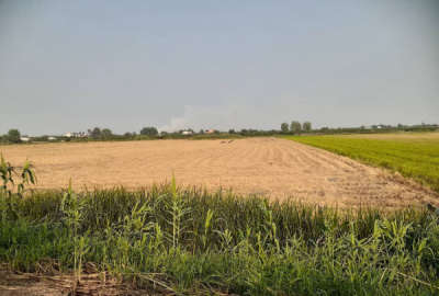 فروش زمین کشاورزی شمال ۷۰۰۰ متر کیاکلا روستای برجخیل