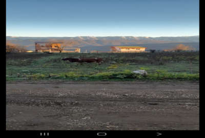 فروش زمین مسکونی شمال ۵۰۰ متر روستای فریم